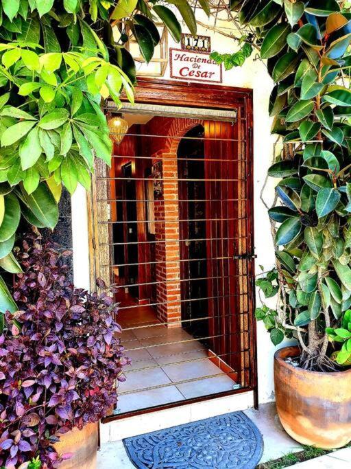 Hacienda En Primavera, Descanso Familiar Total Πουέρτο Βαγιάρτα Εξωτερικό φωτογραφία