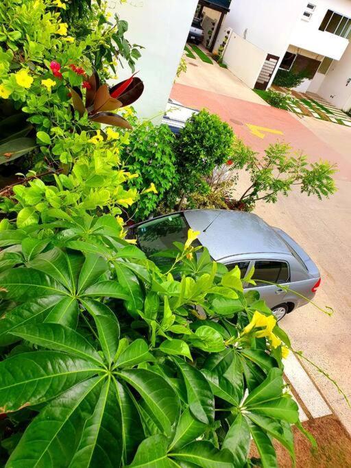 Hacienda En Primavera, Descanso Familiar Total Πουέρτο Βαγιάρτα Εξωτερικό φωτογραφία